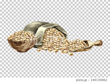Soybeans in an upturned burlap bag, a wooden bowl and a scoop filled with soybeans. Hand-drawn watercolor illustration. Perfect for creating product labels, posters, banners, menus, and more Soybeans in an upturned burlap bag, a wooden bowl and a scoop filled with soybeans. Hand-drawn watercolor illustration. Perfect for creating product labels, posters, banners, menus, and more 140130062