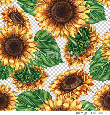 Seamless pattern with sunflowers and sunflower leaves. Hand-drawn watercolor illustration. Beautiful floral pattern. Perfect for textiles, decor, packaging and labels, prints, wallpapers, and more Seamless pattern with sunflowers and sunflower leaves. Hand-drawn watercolor illustration. Beautiful floral pattern. Perfect for textiles, decor, packaging and labels, prints, wallpapers, and more 140130109