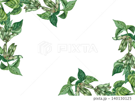 Soy stalk frame with green pods and leaves. Hand-drawn watercolor illustration. Perfect for creating product labels, posters, banners, menus, and more. 140130125
