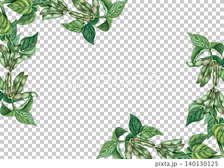 Soy stalk frame with green pods and leaves. Hand-drawn watercolor illustration. Perfect for creating product labels, posters, banners, menus, and more. 140130125