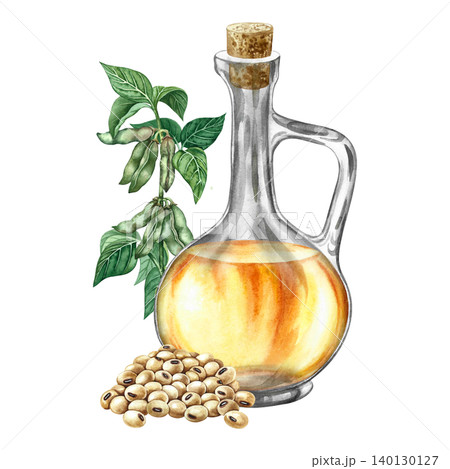 Soybean oil. Glass bottle, a handful of soybeans, and a soy stem with green pods. Hand-drawn watercolor illustration. For menus, recipes, and cookbooks. For banners, packaging, labels, and more. Soybean oil. Glass bottle, a handful of soybeans, and a soy stem with green pods. Hand-drawn watercolor illustration. For menus, recipes, and cookbooks. For banners, packaging, labels, and more. 140130127