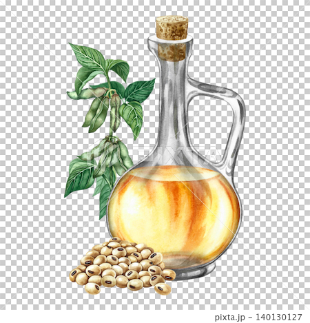 Soybean oil. Glass bottle, a handful of soybeans, and a soy stem with green pods. Hand-drawn watercolor illustration. For menus, recipes, and cookbooks. For banners, packaging, labels, and more. Soybean oil. Glass bottle, a handful of soybeans, and a soy stem with green pods. Hand-drawn watercolor illustration. For menus, recipes, and cookbooks. For banners, packaging, labels, and more. 140130127