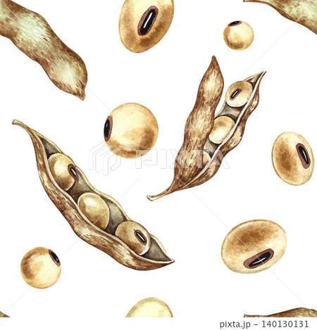 Seamless pattern with soybeans and pods. Hand-drawn watercolor illustration. Perfect for textiles, labels and prints, decor, packaging, and more. Seamless pattern with soybeans and pods. Hand-drawn watercolor illustration. Perfect for textiles, labels and prints, decor, packaging, and more. 140130131