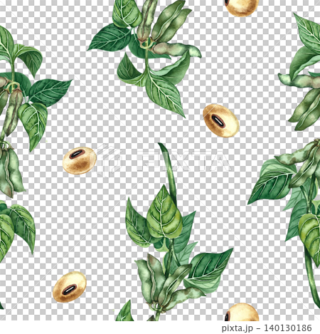 Seamless pattern of soybeans and soy stalks with leaves and pods. Hand-drawn watercolor illustration. Perfect for textiles, labels and prints, decor, packaging, and more. Seamless pattern of soybeans and soy stalks with leaves and pods. Hand-drawn watercolor illustration. Perfect for textiles, labels and prints, decor, packaging, and more. 140130186