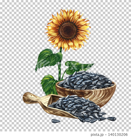 Sunflower flower and seeds in a wooden cup and scoop. Hand-drawn watercolor illustration. Design element for labels and packaging, as well as banners, posters, and more. Sunflower flower and seeds in a wooden cup and scoop. Hand-drawn watercolor illustration. Design element for labels and packaging, as well as banners, posters, and more. 140130206