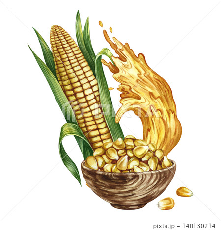 Corn oil. Hand-drawn watercolor illustration. Corn kernels in a wooden bowl, a splash of oil, and a corn cob. For labels and packaging, menus, banners, posters, and more. Corn oil. Hand-drawn watercolor illustration. Corn kernels in a wooden bowl, a splash of oil, and a corn cob. For labels and packaging, menus, banners, posters, and more. 140130214