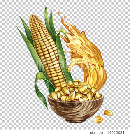 Corn oil. Hand-drawn watercolor illustration. Corn kernels in a wooden bowl, a splash of oil, and a corn cob. For labels and packaging, menus, banners, posters, and more. Corn oil. Hand-drawn watercolor illustration. Corn kernels in a wooden bowl, a splash of oil, and a corn cob. For labels and packaging, menus, banners, posters, and more. 140130214