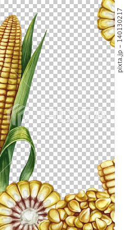 Corn frame. Hand-drawn watercolor illustration. Corn cobs, cobs cut, and corn kernels in a pile. Perfect for creating product labels, posters, banners, menus, and postcards, and more. 140130217