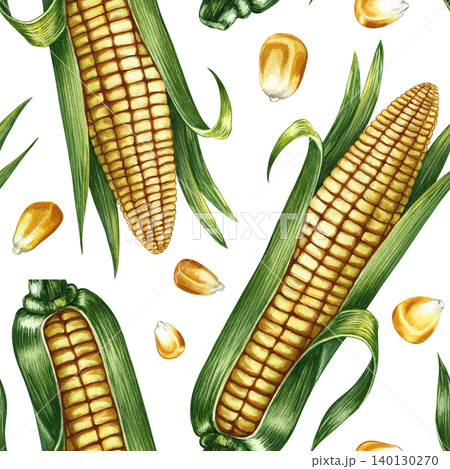 Seamless pattern of corn cobs and corn kernels. Hand-drawn watercolor illustration. Perfect for textiles, decor, labels, packaging, prints, and more. Seamless pattern of corn cobs and corn kernels. Hand-drawn watercolor illustration. Perfect for textiles, decor, labels, packaging, prints, and more. 140130270