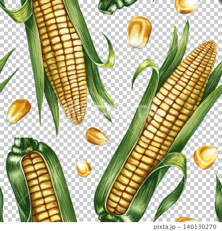 Seamless pattern of corn cobs and corn kernels. Hand-drawn watercolor illustration. Perfect for textiles, decor, labels, packaging, prints, and more. Seamless pattern of corn cobs and corn kernels. Hand-drawn watercolor illustration. Perfect for textiles, decor, labels, packaging, prints, and more. 140130270
