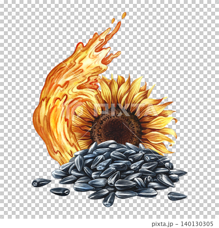 Sunflower oil. Hand-drawn watercolor illustration. A splash of oil, a sunflower flower, and a handful of seeds. An element of label and packaging design, banners, posters, and more. Sunflower oil. Hand-drawn watercolor illustration. A splash of oil, a sunflower flower, and a handful of seeds. An element of label and packaging design, banners, posters, and more. 140130305
