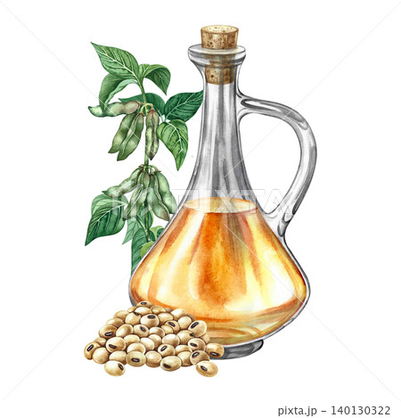 Soybean oil. Glass bottle, a handful of soybeans, and a soy stem with green pods. Hand-drawn watercolor illustration. For menus, recipes, and cookbooks. For banners, packaging, labels, and more. Soybean oil. Glass bottle, a handful of soybeans, and a soy stem with green pods. Hand-drawn watercolor illustration. For menus, recipes, and cookbooks. For banners, packaging, labels, and more. 140130322