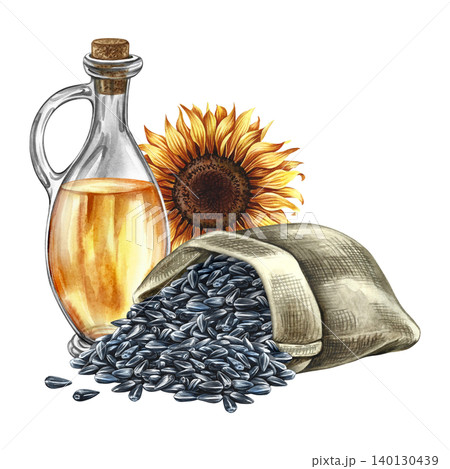 Sunflower oil in a bottle, a handful of sunflower seeds in a burlap bag. Hand-drawn watercolor illustration. Element of label and packaging design, as well as banners, posters, and more Sunflower oil in a bottle, a handful of sunflower seeds in a burlap bag. Hand-drawn watercolor illustration. Element of label and packaging design, as well as banners, posters, and more 140130439