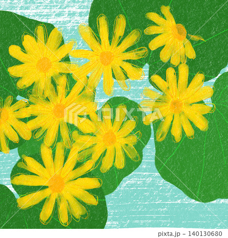手描きの花のイラスト ツワブキ 手描きの花のイラスト ツワブキ 140130680