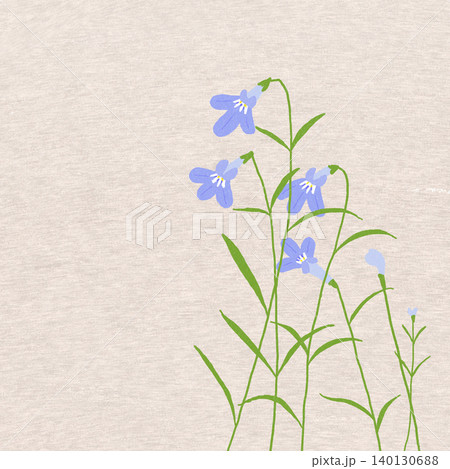 手描きの花のイラスト　ロベリア 140130688
