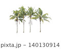 Four Tall Coconut Trees Cutout Set for Architectural Landscaping 140130914