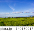 Wide Angle View of Vibrant Green Paddy Plantation in Java 140130917