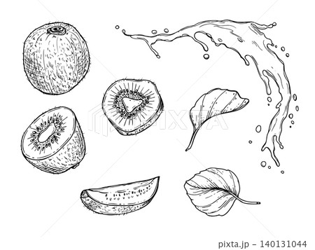 Kiwi fruit set with juice splash and leaves vector illustration in engraving style. Hand drawn tropical fruits black and white outline illustration for menu design, organic recipe and healthy diet Kiwi fruit set with juice splash and leaves vector illustration in engraving style. Hand drawn tropical fruits black and white outline illustration for menu design, organic recipe and healthy diet 140131044