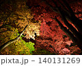 ライトアップされた紅葉 140131269