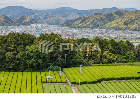 島田市の街並みと茶畑の風景(静岡県) 島田市の街並みと茶畑の風景(静岡県) 140131285