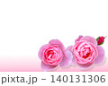 2輪の可愛いピンクの薔薇 140131306