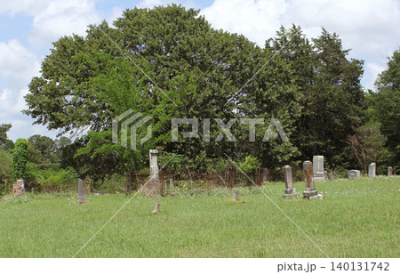 Historic Cemetery in Rural East Texas. Troup City Cemetery 140131742