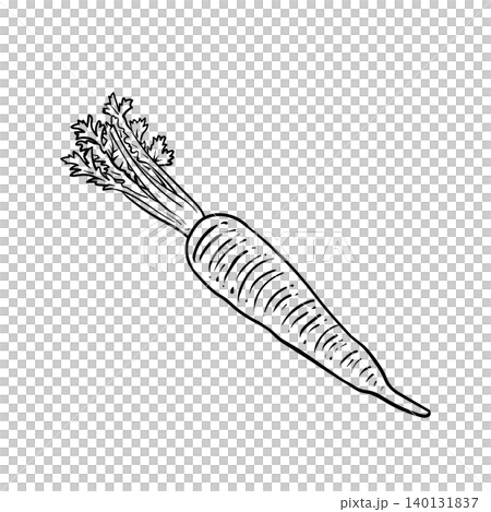 Hand-drawn Carrot Illustration Hand-drawn Carrot Illustration 140131837