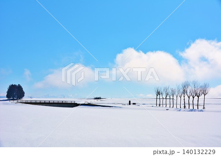 雪原の青空と雲とハサ木風景 140132229