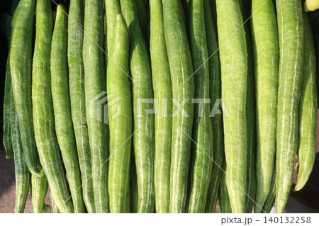 snake gourd stock on shop 140132258