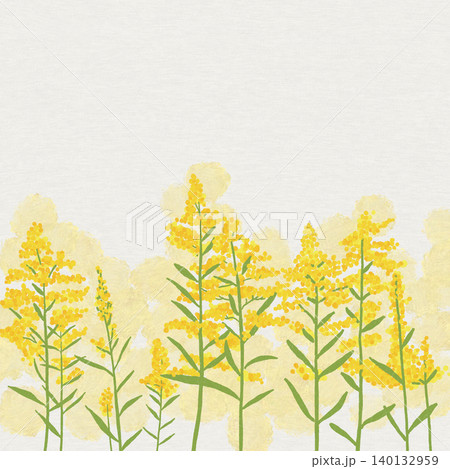 手描きの花のイラスト アワダチソウ 手描きの花のイラスト アワダチソウ 140132959