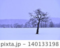 雪原に立つ木 140133198
