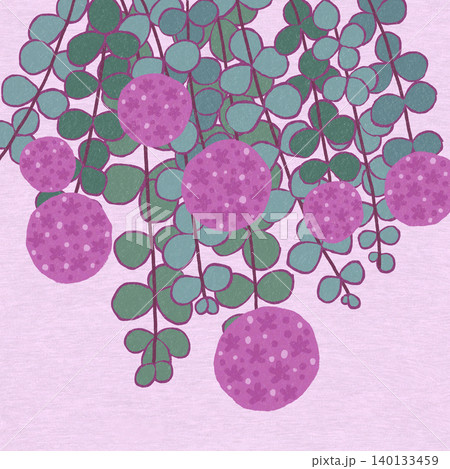 手描きの花のイラスト　ミセバヤ 140133459