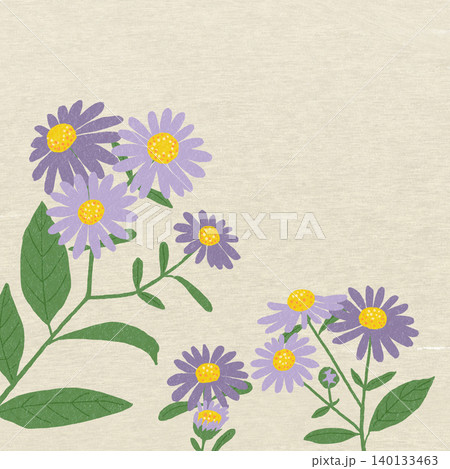 手描きの花のイラスト ノコンギク 手描きの花のイラスト ノコンギク 140133463