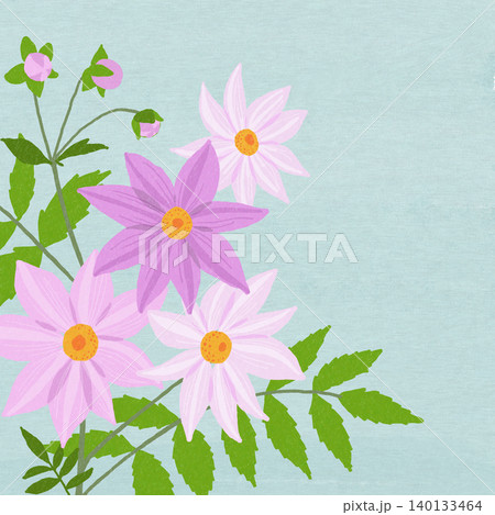 手描きの花のイラスト 皇帝ダリア 手描きの花のイラスト 皇帝ダリア 140133464