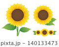 ひまわりのイラストセット 夏の水彩風ベクター素材 140133473