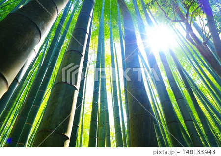 竹林の風景 - 天に向かって無数の竹がそびえる竹林の風景 竹林の風景 - 天に向かって無数の竹がそびえる竹林の風景 140133943