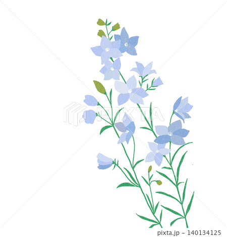 手描きの花のイラスト デルフィニウム 手描きの花のイラスト デルフィニウム 140134125