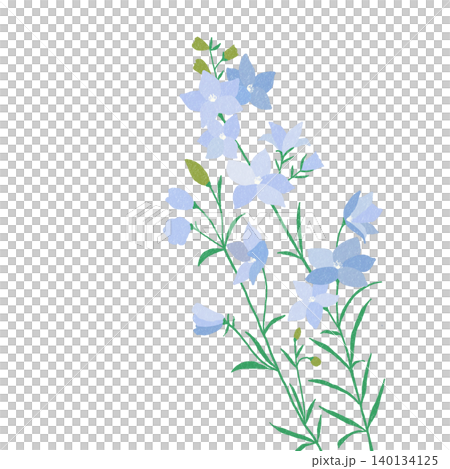 手描きの花のイラスト デルフィニウム 手描きの花のイラスト デルフィニウム 140134125