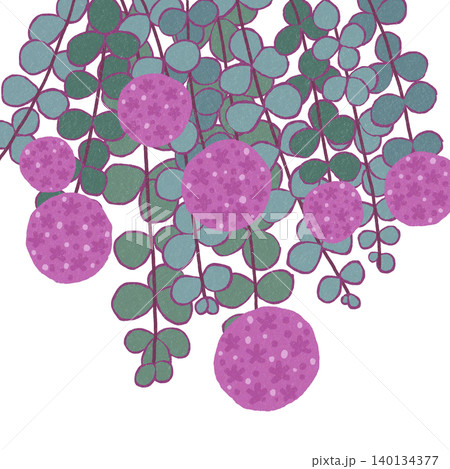 手描きの花のイラスト ミセバヤ 手描きの花のイラスト ミセバヤ 140134377