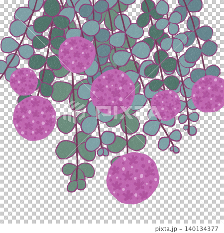 手描きの花のイラスト ミセバヤ 手描きの花のイラスト ミセバヤ 140134377