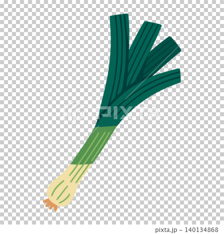 Green onion bunch in flat vector style for food illustration and recipe design Green onion bunch in flat vector style for food illustration and recipe design 140134868