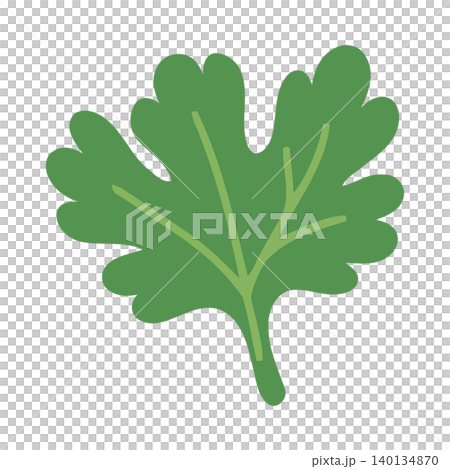 Green oak leaf flat vector illustration for nature and botanical designs Green oak leaf flat vector illustration for nature and botanical designs 140134870