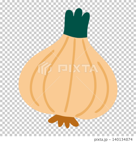 Onion illustration in flat vector style for food packaging and branding Onion illustration in flat vector style for food packaging and branding 140134874