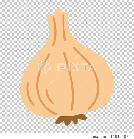 Onion illustration in flat vector style for food and recipe design Onion illustration in flat vector style for food and recipe design 140134875