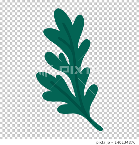 Green oak leaf flat vector illustration for nature and botanical designs Green oak leaf flat vector illustration for nature and botanical designs 140134876