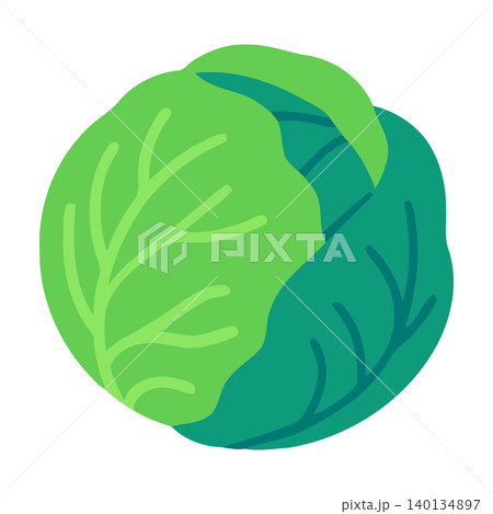 Green cabbage flat vector illustration for food packaging and branding 140134897