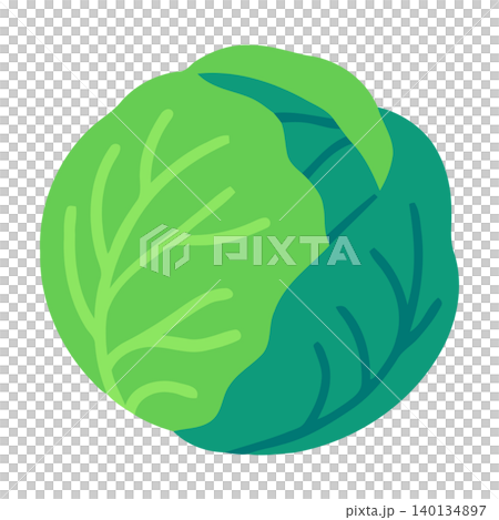 Green cabbage flat vector illustration for food packaging and branding Green cabbage flat vector illustration for food packaging and branding 140134897