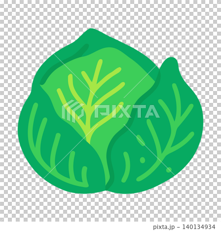 Green cabbage flat vector illustration for food packaging and branding Green cabbage flat vector illustration for food packaging and branding 140134934