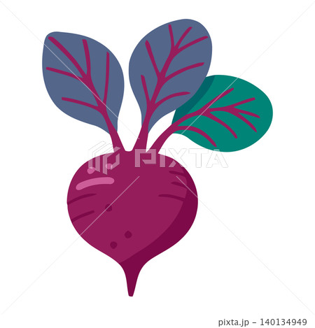 Beetroot vegetable in modern flat vector style for food illustration and packaging 140134949