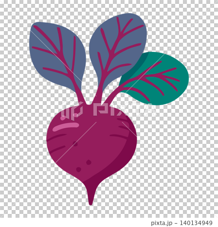 Beetroot vegetable in modern flat vector style for food illustration and packaging Beetroot vegetable in modern flat vector style for food illustration and packaging 140134949
